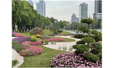 來現(xiàn)場打卡，感受“美麗無錫”的美好